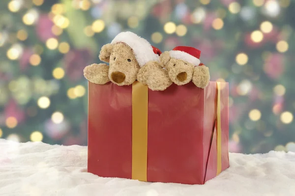 Two teddy bears in a christmas present Royalty Free Stock Photos