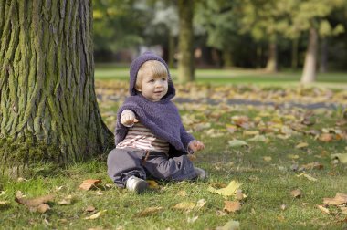 bir sonbahar Park küçük yürümeye başlayan çocuk