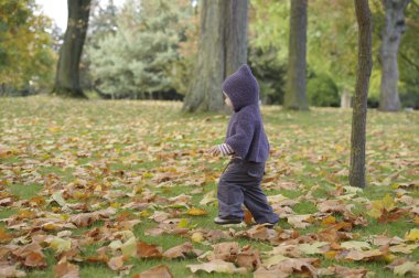 bir sonbahar Park küçük yürümeye başlayan çocuk