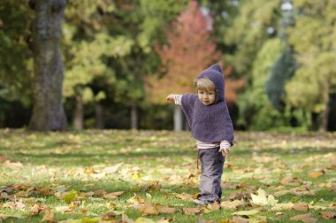 bir sonbahar Park küçük yürümeye başlayan çocuk