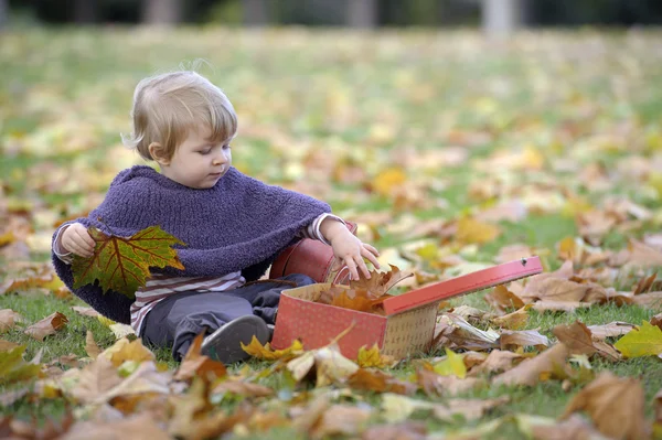 Little girl playing with a suitcase and autumn leaves — Stock Photo, Image