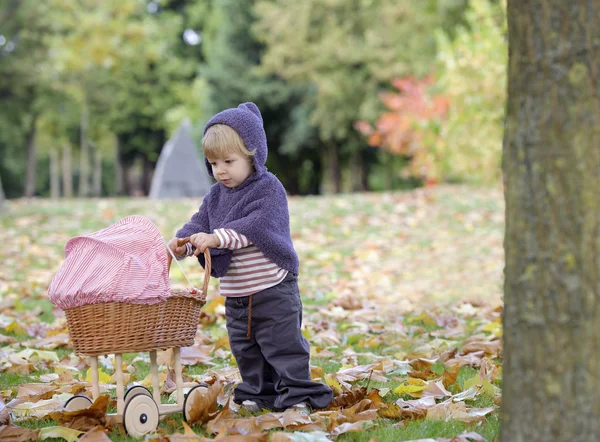 Malá dívka si hraje s kočárkem v parku — Stock fotografie