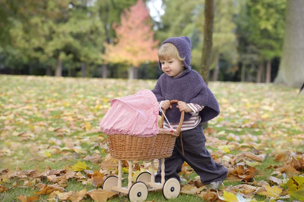 Klein meisje spelen met een kinderwagen in het park — Stockfoto