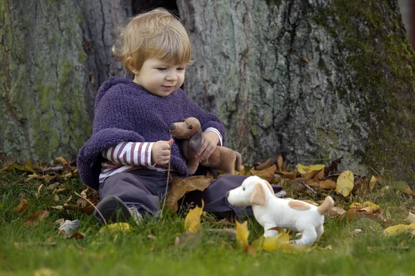 Bir sonbahar Park küçük yürümeye başlayan çocuk — Stok fotoğraf