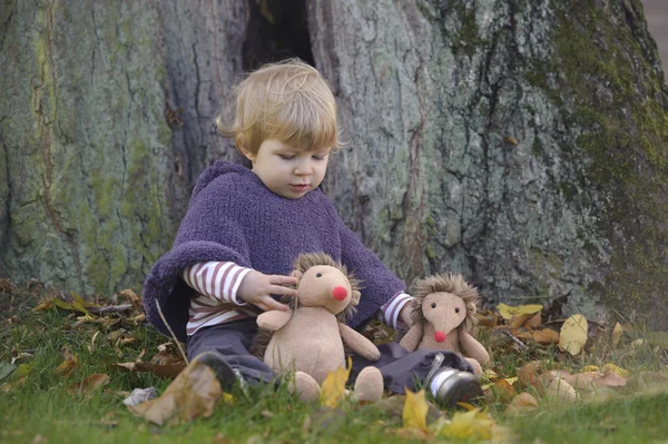 Piccolo bambino in un parco autunnale — Foto Stock