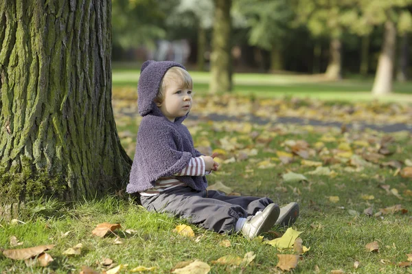 Little toddler in an autumn park — Stock Photo, Image