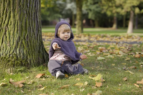 Bir sonbahar Park küçük yürümeye başlayan çocuk — Stok fotoğraf