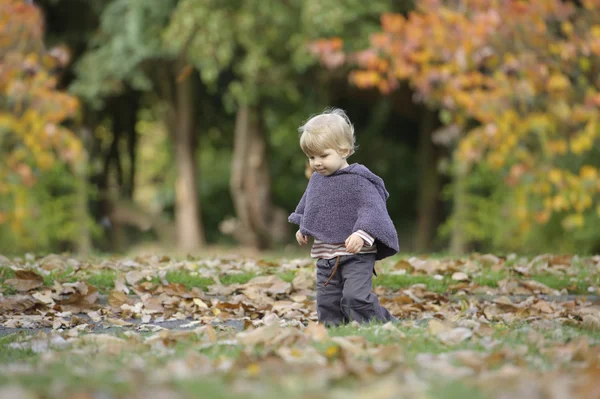 Bir sonbahar Park küçük yürümeye başlayan çocuk — Stok fotoğraf