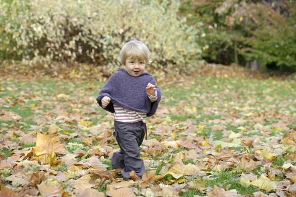 En liten smårolling i en høstpark. – stockfoto