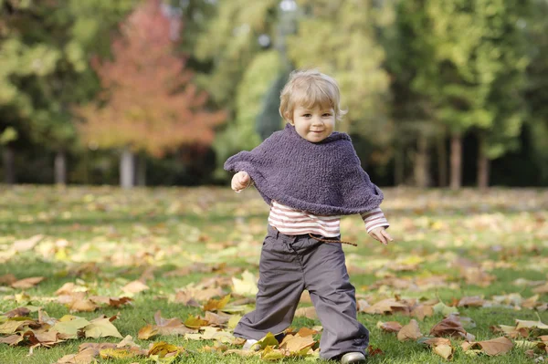 Bir sonbahar Park küçük yürümeye başlayan çocuk — Stok fotoğraf