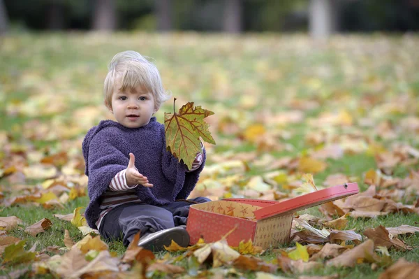 Niña jugando con una maleta y hojas de otoño Fotos De Stock