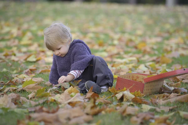 Little girl playing with a suitcase and autumn leaves Royalty Free Stock Photos