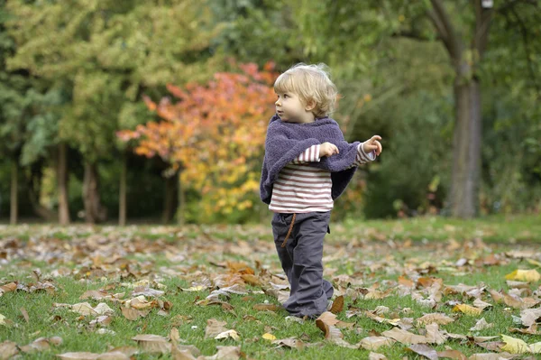 Little toddler in an autumn park Stock Picture
