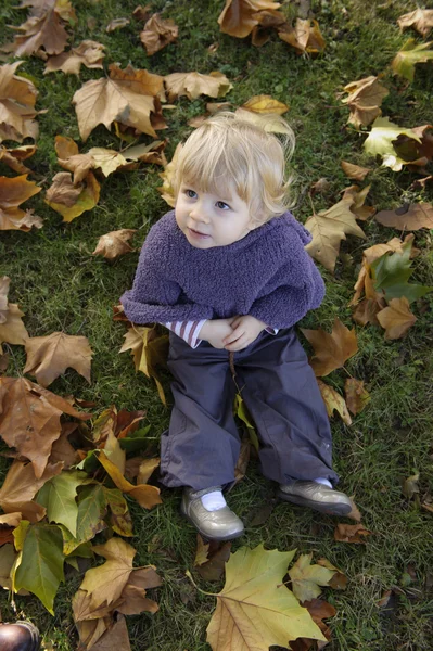 Top view of a little toddler outdoors Stock Photo