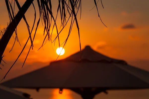 Pôr do sol no mar. palmeira com guarda-sol no fundo — Fotografia de Stock