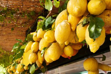 Traditional delicious Italian lemons on Capri island, Naples, It clipart