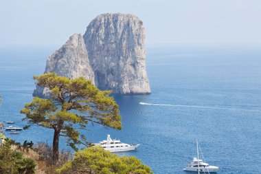 Faraglioni kaya oluşumları. Capri, İtalya