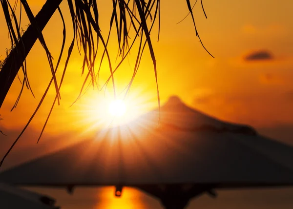 Tempo de férias: Amanhecer incrível com guarda-sol e palmas — Fotografia de Stock