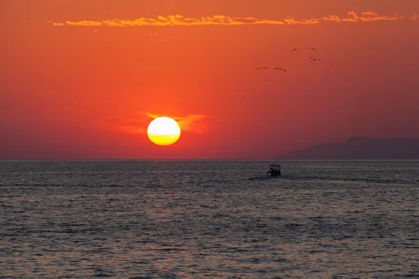 Amazin amanhecer fundo com navio e gaivotas — Fotografia de Stock
