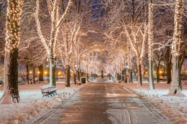 Kış mevsiminde Massachusetts 'te Boston manzarası.