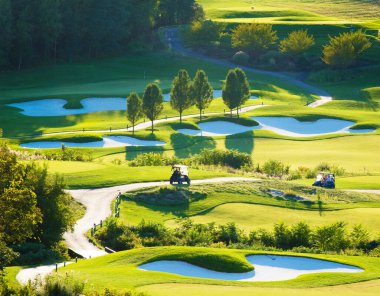 Güneşli bir günde iyi hazırlanmış golf sahası.