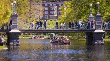 Boston, Massachusetts, ABD Boston Commons ve Boston Halk Bahçesi.