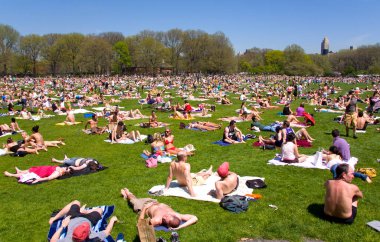 Yazın New York 'taki ikonik Central Park, ABD.