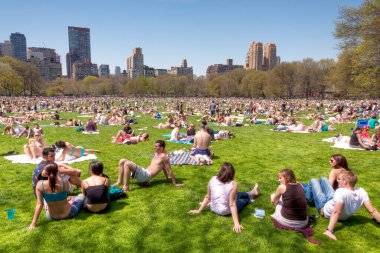 Yazın New York 'taki ikonik Central Park, ABD.