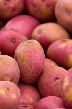 Bir yığın kırmızı patates..