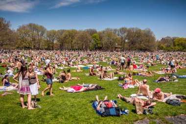 New York 'taki Central Park manzarası, ABD yazın.