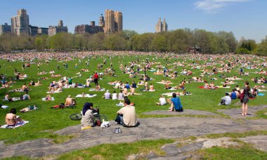 New York 'taki Central Park manzarası, ABD yazın.