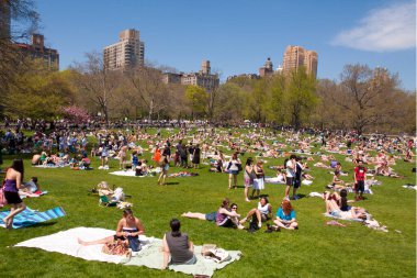 New York 'taki Central Park manzarası, ABD yazın.