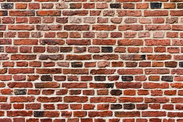 Texture Brick Wall — Stock Photo, Image