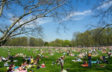 New York 'taki ikonik Central Park, ABD.