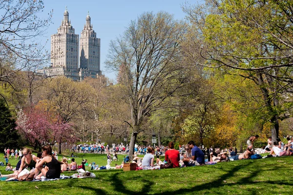 Het Iconische Central Park New York Verenigde Staten — Stockfoto