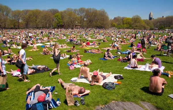 New York 'taki ikonik Central Park, ABD.