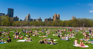 Yazın ABD 'nin New York şehrindeki ikonik Central Park..