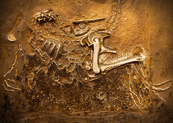Skamielina Prehistorycznego Stworzenia Ujęciu Bliska — Zdjęcie stockowe