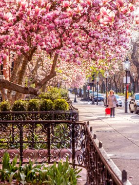 Bahar mevsiminde ABD 'nin Massachusetts kentindeki Boston mimarisinin görüntüsü.