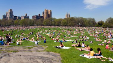 Yazın New York 'taki ikonik Central Park..