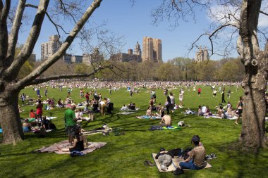 Yazın Central Park 'ta New York manzarası.