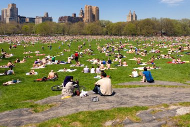 Yazın Central Park 'ta New York manzarası.