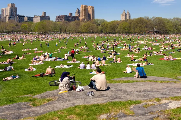 Yazın Central Park 'ta New York manzarası.