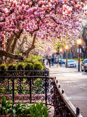 Massachusetts, ABD 'deki Boston mimarisinin görüntüsü.