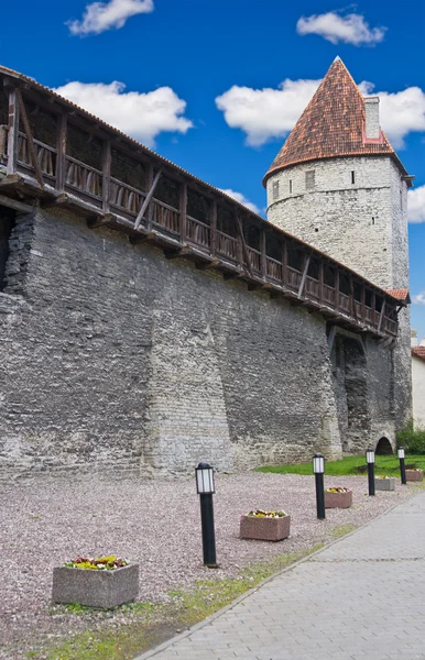 Antigua muralla y torre de la ciudad en Tallin, Estonia —  Fotos de Stock