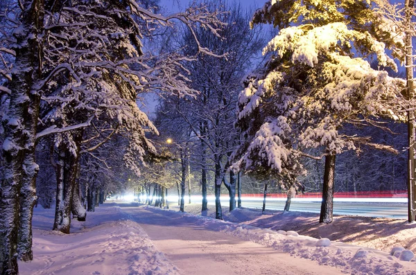 Winter op weg Stockfoto