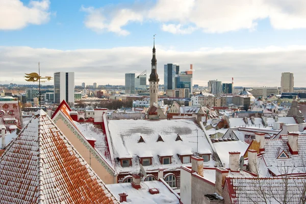 Таллинн, Эстония — стоковое фото