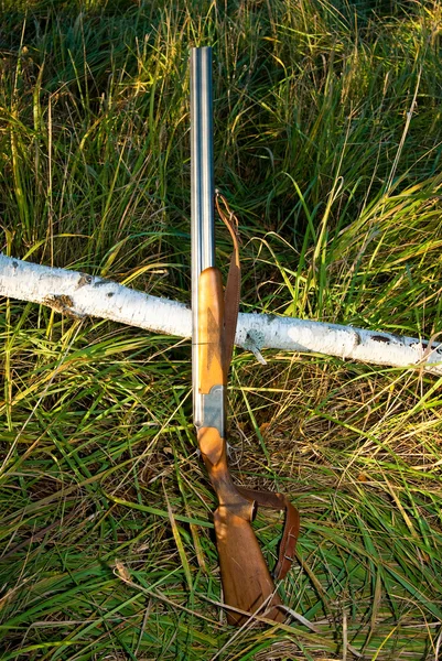 Gewehr — Stockfoto