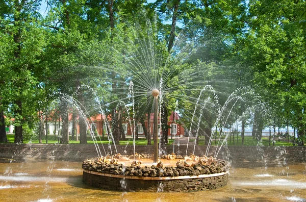 Fountain in Petergof — Stock Photo, Image