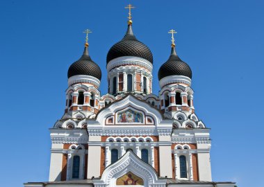 Cupolas of cathedral clipart